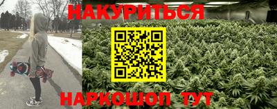 шишки Сланцы