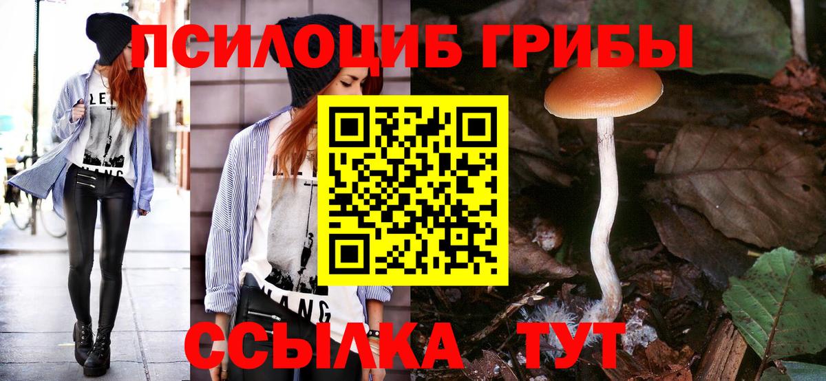 Галлюциногенные грибы GOLDEN TEACHER Ухта